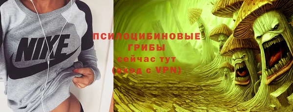 мяу мяу мука Абаза